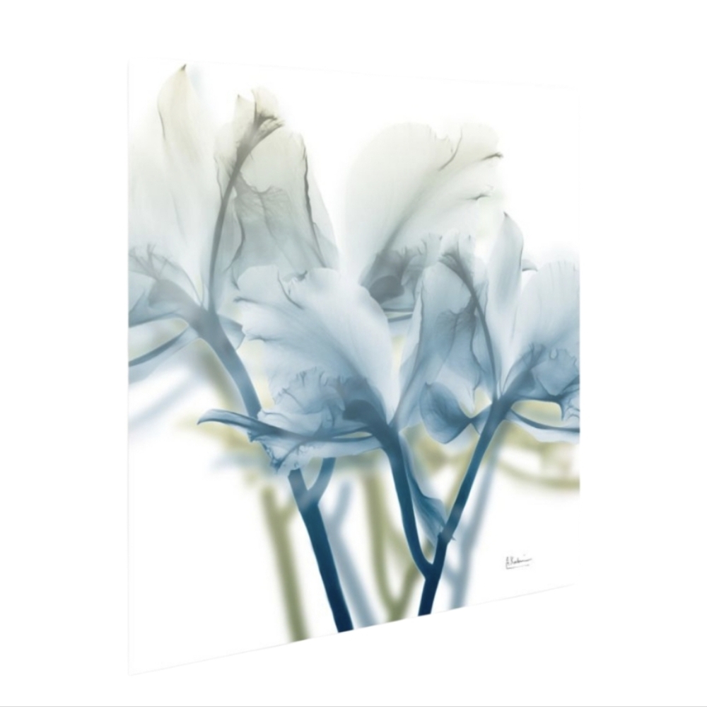 Fremeless Free Floating Tempered Art Glass
